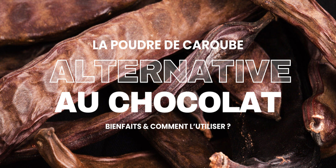 caroube caroubier alternative saine au chocolat